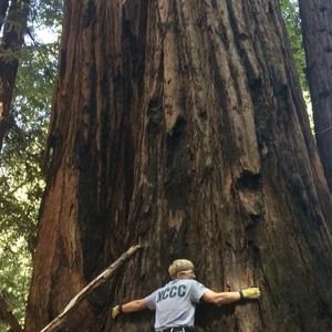 Meet your Posher, Angel